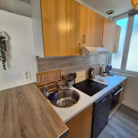 Le Rouy T3 Settimmo A ルルド